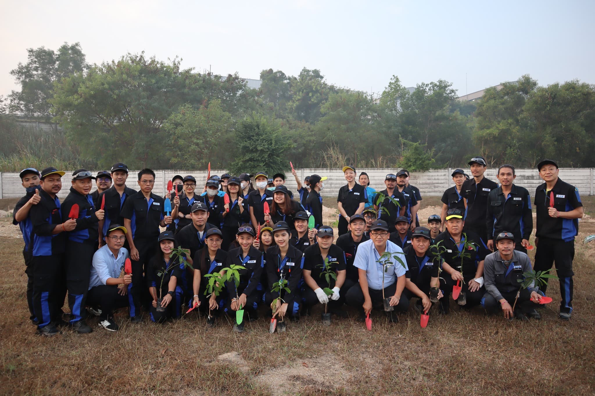 Environmental activity 3